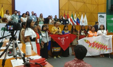 Ecuador firar 10 år med naturens rättigheter i konstitutionen