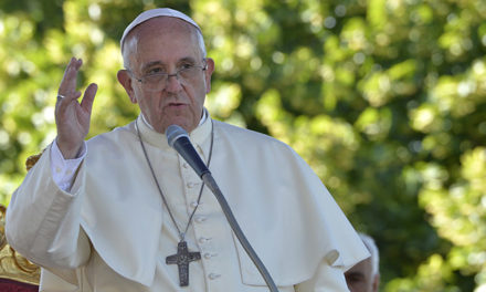 Påven efterlyser ekocidlagstiftning